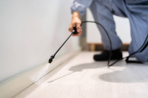 Licensed Termite Control service in Mangum, OK - Nex Pest Control