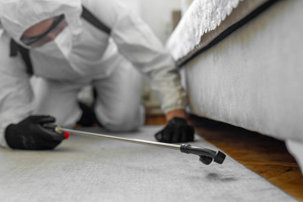 Professional Termite Control technician working in Mangum, OK
