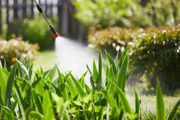 24/7 Emergency Termite Control experts in Mangum, OK
