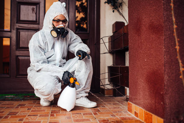 Reliable Termite Control contractor in Mangum, OK by Nex Pest Control