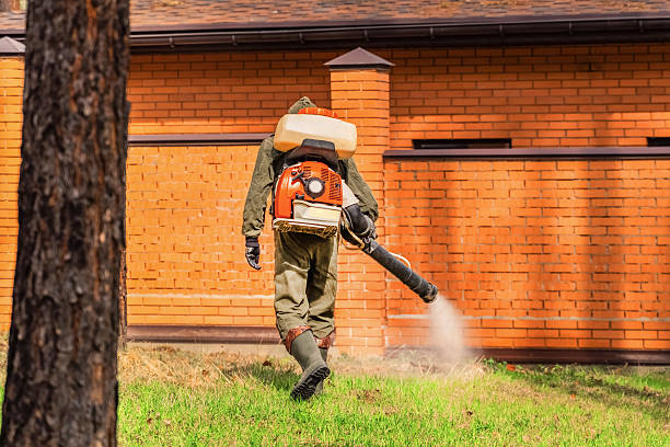 Top rated local Termite Control specialists in Mangum, OK